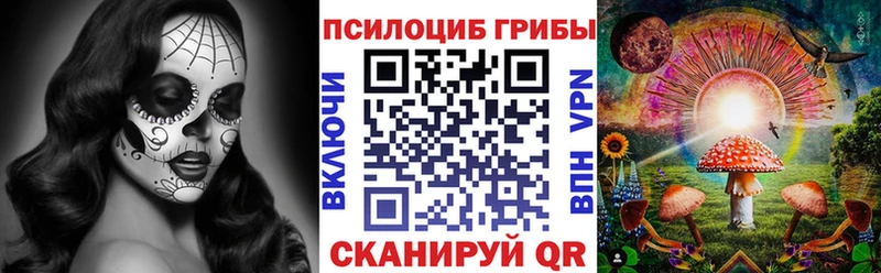 закладка  Кимовск  Галлюциногенные грибы Psilocybine cubensis 